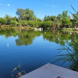 Phoenix Zoo - Phoenix