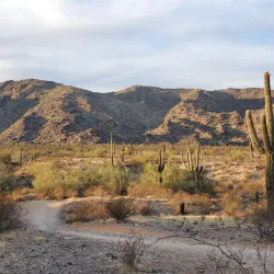 South Mountain Park and Preserve - Phoenix