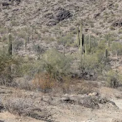 South Mountain Park and Preserve - Phoenix