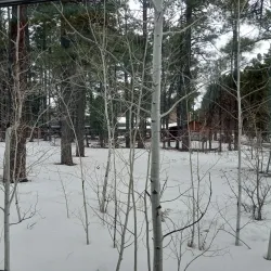 Apache-Sitgreaves National Forests - Pinetop-Lakeside