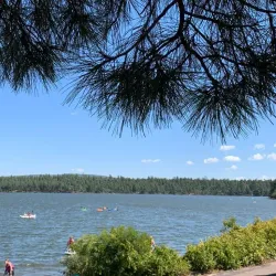 Apache-Sitgreaves National Forests - Pinetop-Lakeside
