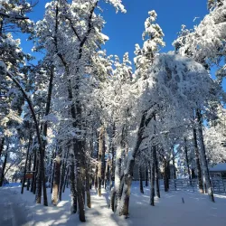 Apache-Sitgreaves National Forests - Pinetop-Lakeside