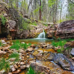 Horton Creek Trail - Pinetop-Lakeside