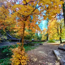 Horton Creek Trail - Pinetop-Lakeside