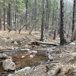 Horton Creek Trail - Pinetop-Lakeside
