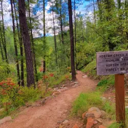 Horton Creek Trail - Pinetop-Lakeside