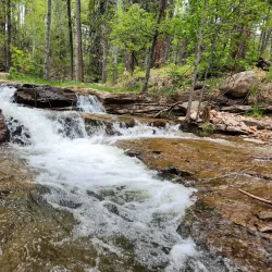 Horton Creek Trail - Pinetop-Lakeside