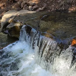 Horton Creek Trail - Pinetop-Lakeside