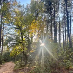 Horton Creek Trail - Pinetop-Lakeside