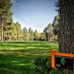 Pinetop Lakes Golf & Country Club - Pinetop-Lakeside