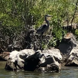 Rainbow Lake - Pinetop-Lakeside