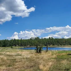 Woodland Lake Park - Pinetop-Lakeside