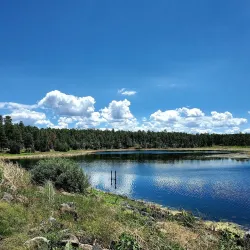 Woodland Lake Park - Pinetop-Lakeside