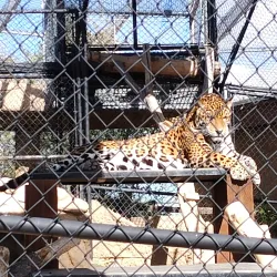 Heritage Park Zoological Sanctuary - Prescott