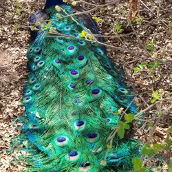 Heritage Park Zoological Sanctuary - Prescott