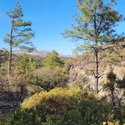 Lynx Lake Recreation Area - Prescott