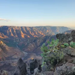 Prescott National Forest - Prescott