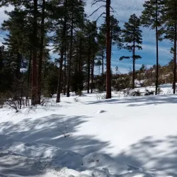 Thumb Butte Trail - Prescott