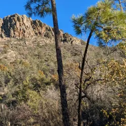 Thumb Butte Trail - Prescott