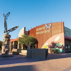 Butterfly Wonderland - Scottsdale