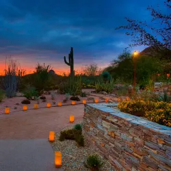 Desert Botanical Garden - Scottsdale