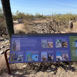 McDowell Sonoran Preserve - Scottsdale