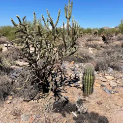 McDowell Sonoran Preserve - Scottsdale