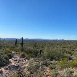 McDowell Sonoran Preserve - Scottsdale