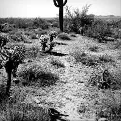 McDowell Sonoran Preserve - Scottsdale