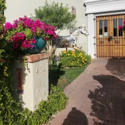 Old Town Scottsdale - Scottsdale