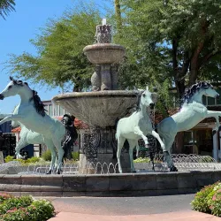 Old Town Scottsdale - Scottsdale