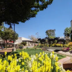 Old Town Scottsdale - Scottsdale