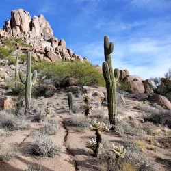 Pinnacle Peak Park - Scottsdale