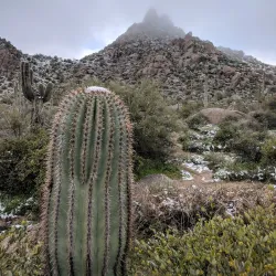 Pinnacle Peak Park - Scottsdale