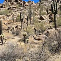Pinnacle Peak Park - Scottsdale