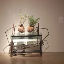 Scottsdale Museum of Contemporary Art (SMoCA) - Scottsdale