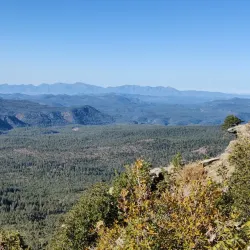 Apache-Sitgreaves National Forests - Show Low