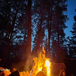 Apache-Sitgreaves National Forests - Show Low