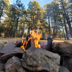 Apache-Sitgreaves National Forests - Show Low