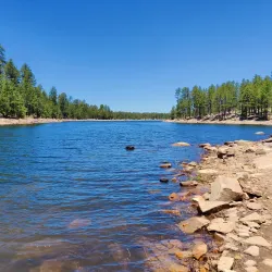 Apache-Sitgreaves National Forests - Show Low