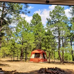 Apache-Sitgreaves National Forests - Show Low