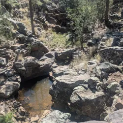 Apache-Sitgreaves National Forests - Show Low