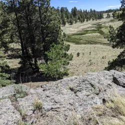 Apache-Sitgreaves National Forests - Show Low