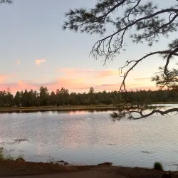 Lakeside Lake Park - Show Low