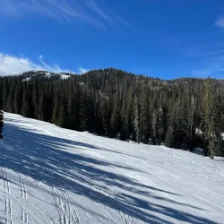 Pinetop-Lakeside Ski Resort - Show Low