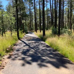 Show Low City Park - Show Low