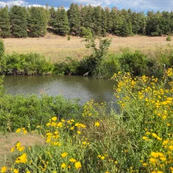 Show Low Creek Trail - Show Low