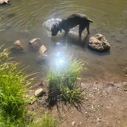 Show Low Creek Trail - Show Low