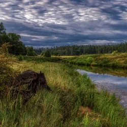 Show Low Creek Trail - Show Low