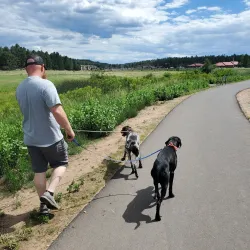 Show Low Creek Trail - Show Low